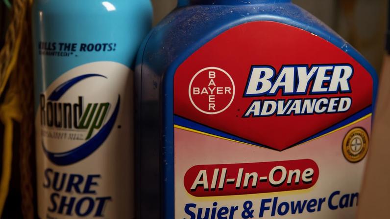 Bayer afirma que o herbicida Roundup é seguro e não causa câncer; empresa enfrenta processos desde a aquisição da Monsanto em 2018