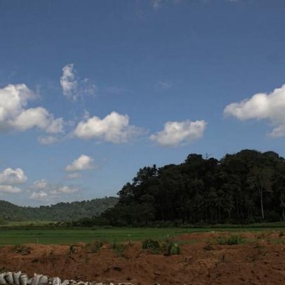 Comunidades dizem que bosques sagrados encolhem nos Ghats Orientais da Índia