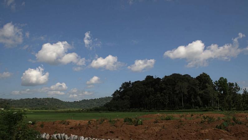 Comunidades dizem que bosques sagrados encolhem nos Ghats Orientais da Índia