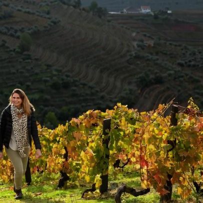 Casal explora o mundo do vinho e seus segredos