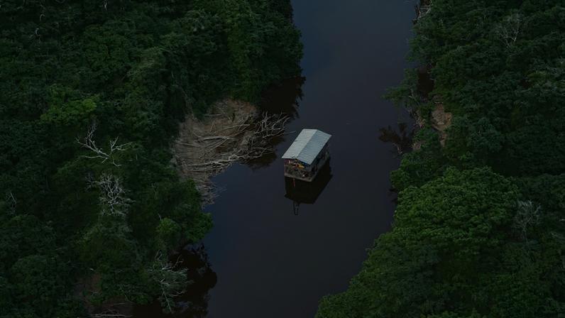 Crime organizado amplia destruição ambiental na Amazônia, aponta relatório