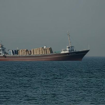 Ormuz fechado há meses: navios encalhados no Golfo, cascos com moluscos