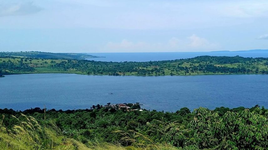 Lake Victoria in Kenya. Image by Jozef020 via Wikimedia Commons (CC BY-SA 4.0).
