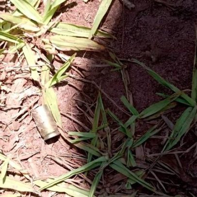 Assassinatos por conflitos de terra sobem no Brasil, principalmente na Amazônia