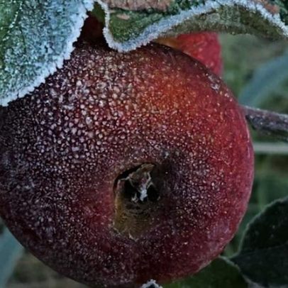 Frio diminui no Sul após recorde de menor temperatura do ano