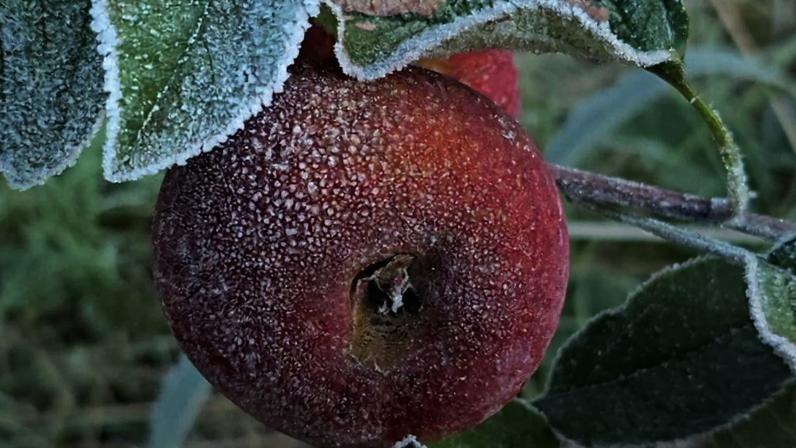 Frio diminui no Sul após recorde de menor temperatura do ano