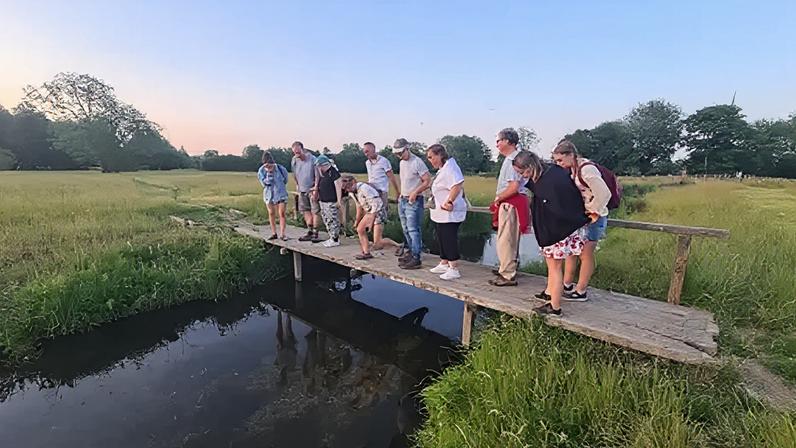 Wildlife and Wellbeing
