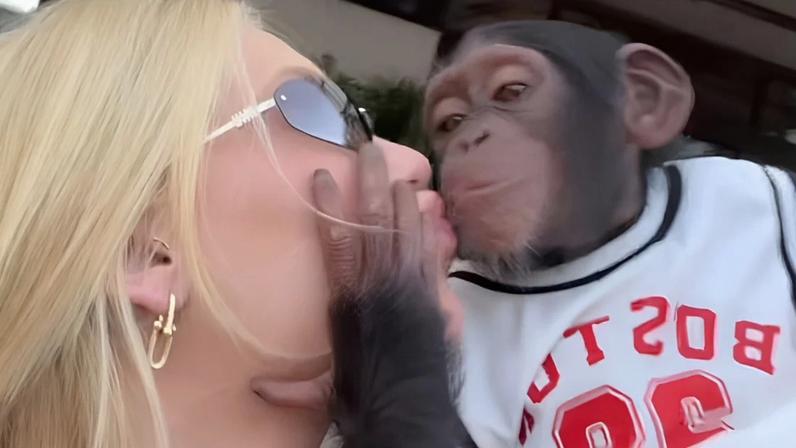 Virgínia Fonseca é acusada de racismo após beijo em macaco e fim com Vini Jr