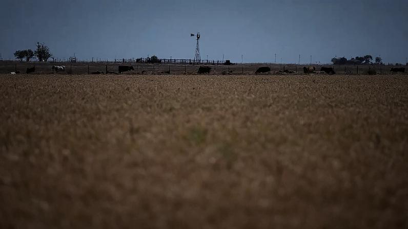Argentina reduz impostos sobre grãos para aliviar margens agrícolas, diz Bolsa