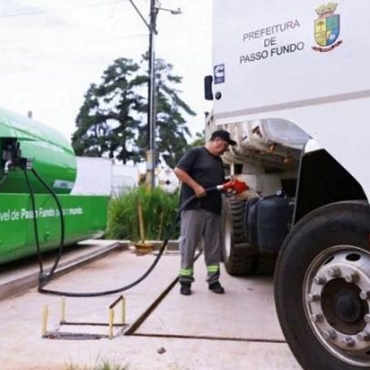 Quinto Leilão Eco Invest destina recursos a fertilizantes verdes e combustíveis