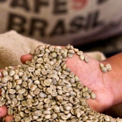 Brasil exporta volume recorde de café verde descafeinado para o Japão