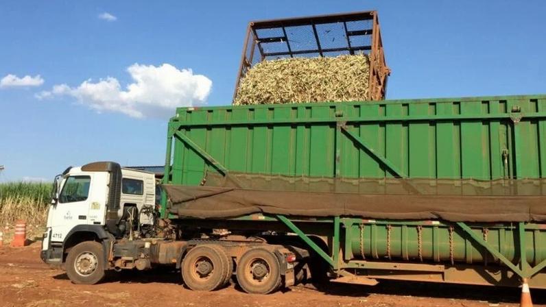 Cana é carregada em um caminhão em uma fazenda para ser levada a uma usina de açúcar próxima em Bebedouro (SP)
