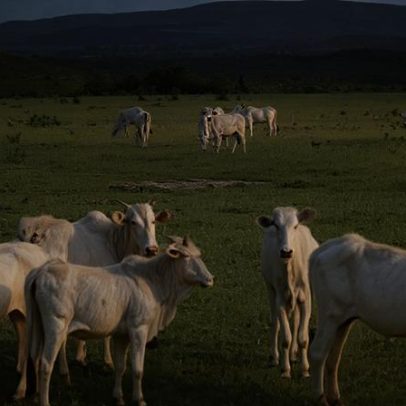 Restrições da UE à carne brasileira devem ser resolvidas em breve, diz Mauro