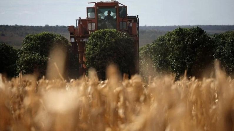 Rotatividade de CEOs no agronegócio brasileiro sobe, aponta pesquisa