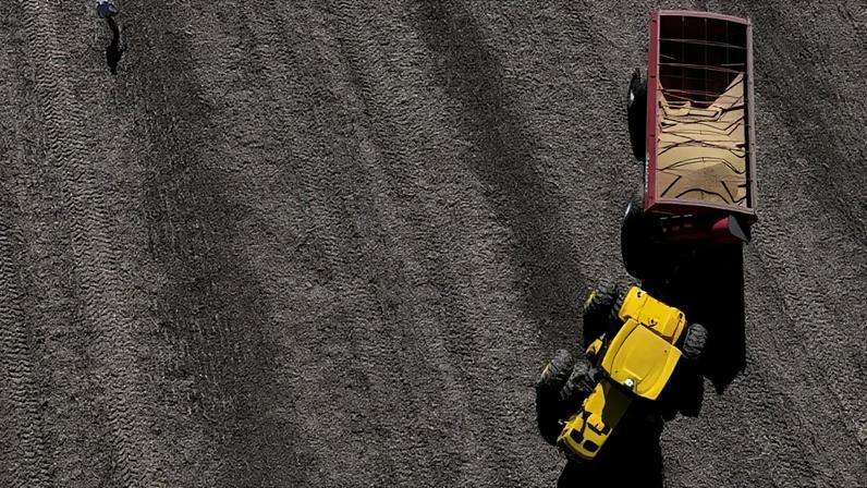Novas compras agrícolas da China nos EUA impactam o comércio global