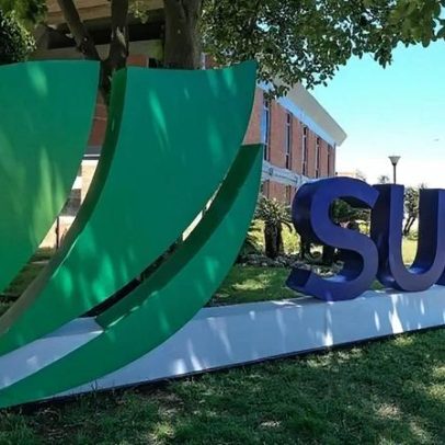 Suzano recebe aval da Europa para compra bilionária de parte da Kimberly-Clark