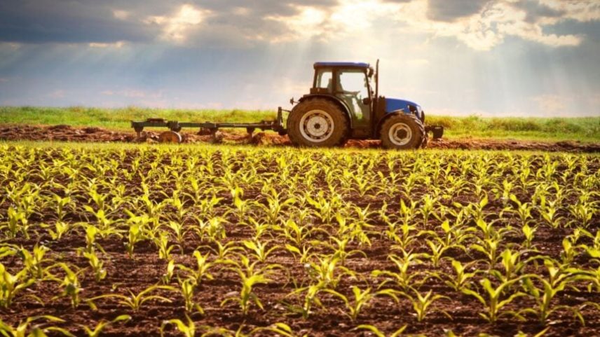 Trator agrícola em operação em lavoura de milho