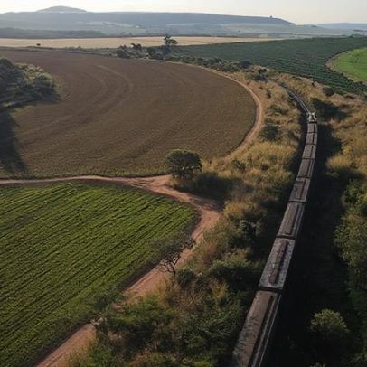 STF valida alterações de limites no Parque do Jamanxim e destrava Ferrogrão