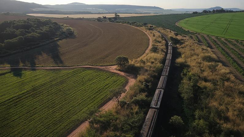 STF valida alterações de limites no Parque do Jamanxim e destrava Ferrogrão