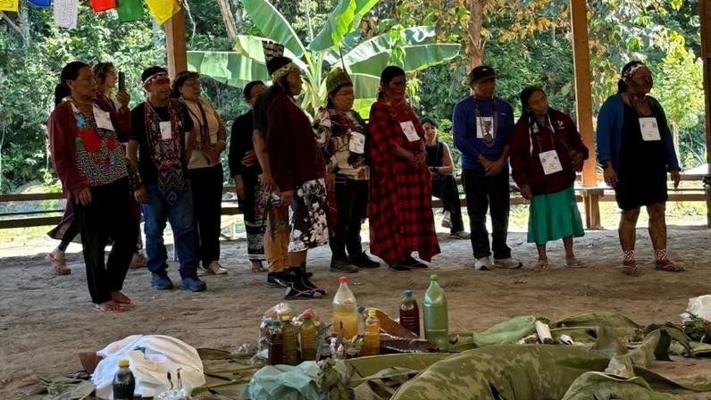 Psicodélicos, patentes e colonialismo científico: debate e implicações