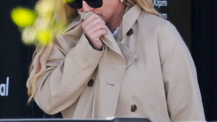 Britney Spears é vista em clínica veterinária após confusão em restaurante
