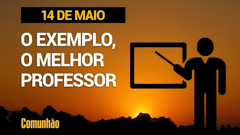 Devocional: leitura e reflexão sobre O Livro