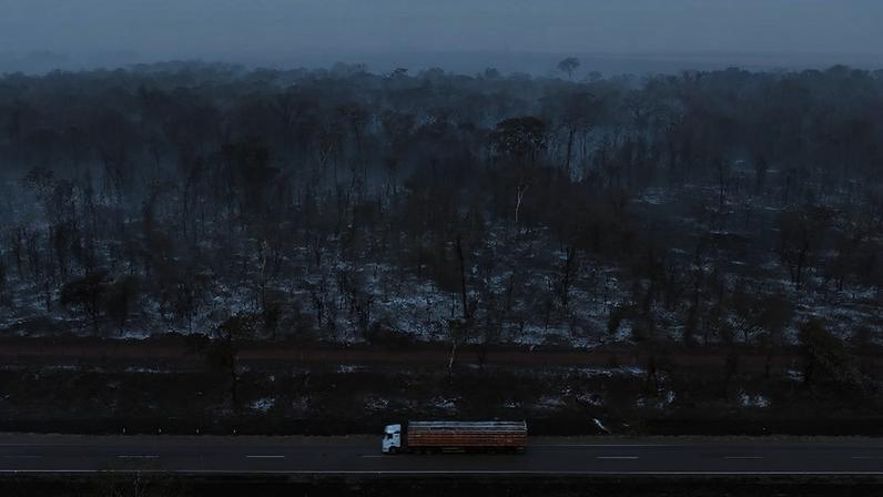 Drone mostra área queimada perto de Ribeirão Preto, em 2024