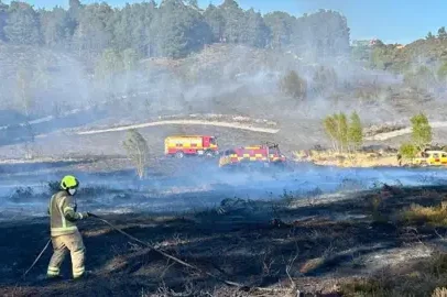Novos sensores de incêndios florestais são instalados para proteger habitats