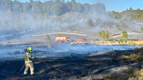Novos sensores de incêndios florestais são instalados para proteger habitats