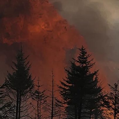 Alertas de incêndios florestais por risco de danos devastadores