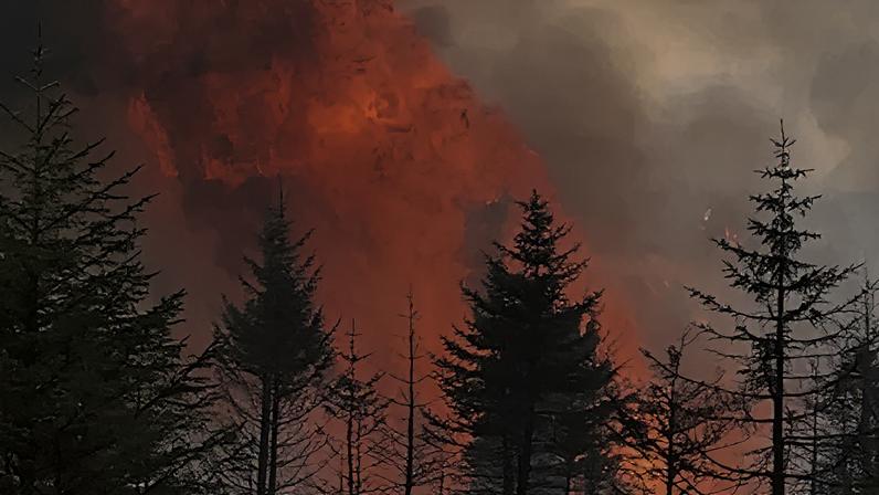 Alertas de incêndios florestais por risco de danos devastadores