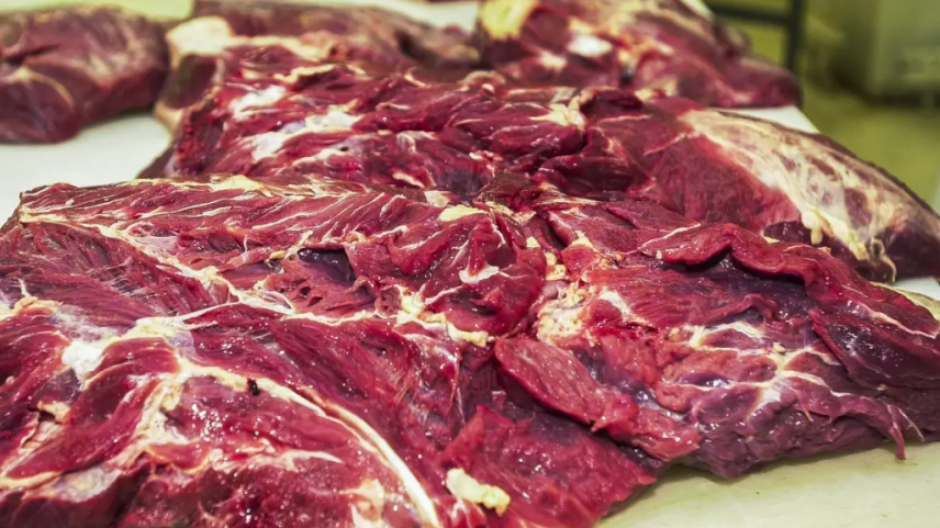 UE mantém veto à carne bovina brasileira a partir de setembro