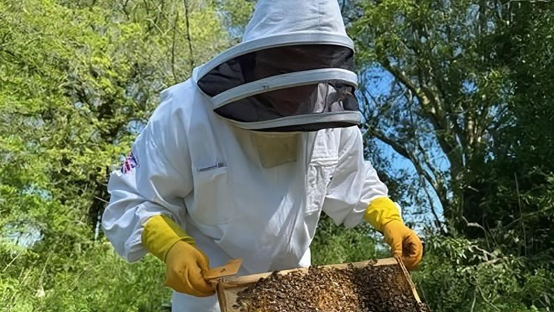 Jenson, 17, looks after two hives in Minsterley, having taken up beekeeping during the four years he was away from mainstream schooling