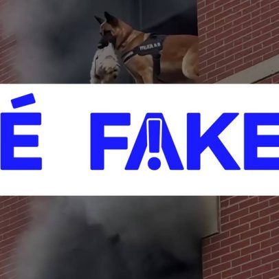 Vídeo de cão policial salvando shih tzu em prédio em chamas é falso, IA