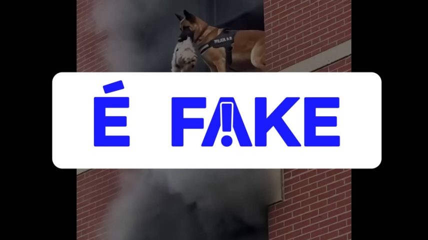 É #FAKE vídeo de cão policial salvando shih tzu de prédio em chamas; cena foi criada com inteligência artificial — Foto: Reprodução