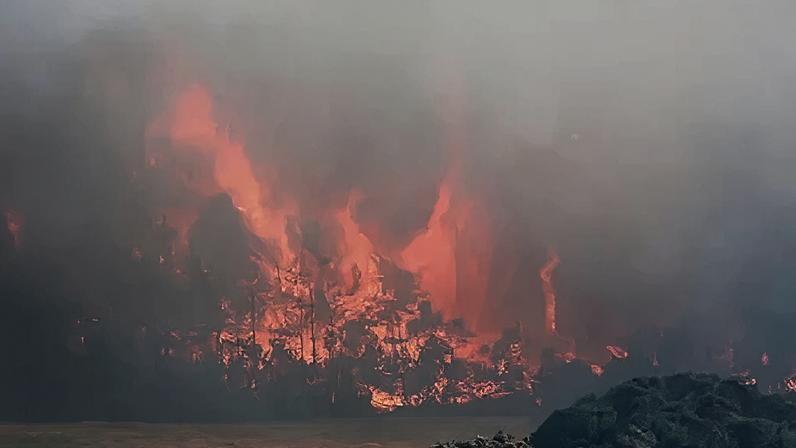 Peter Jolly/Northpix Flames engulf trees and send plumes of smoke into the air.