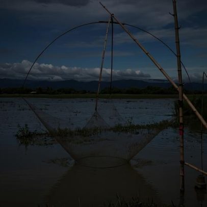 Nova lei de Bangladesh pode salvar áreas úmidas naturais?