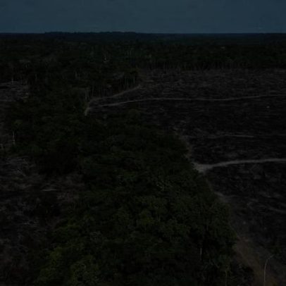 Ambientalistas veem retrocesso em pacote ruralista aprovado pela Câmara
