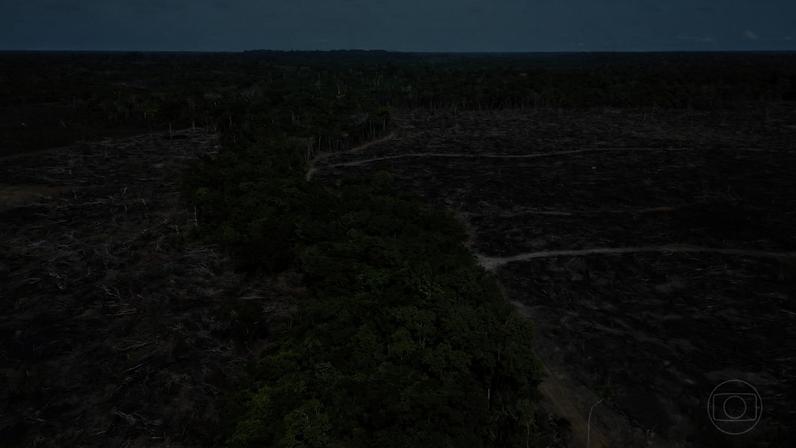 Ambientalistas veem retrocesso em pacote ruralista aprovado pela Câmara