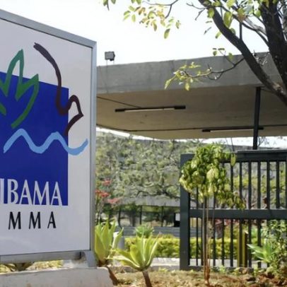 Câmara aprova projeto que limita poder de fiscalização do Ibama