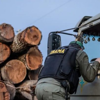 Justiça confirma multa de R$ 4,5 milhões a infrator ambiental de Roraima