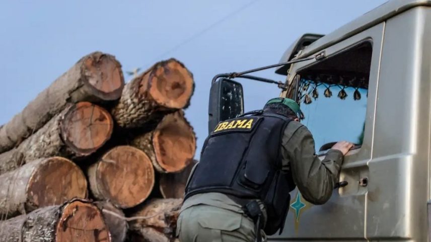 Justiça confirma multa de R$ 4,5 milhões a infrator ambiental de Roraima