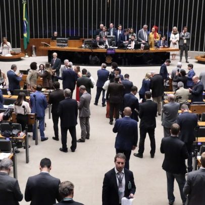 Câmara aprova redução de quase 40% da floresta nacional no Pará