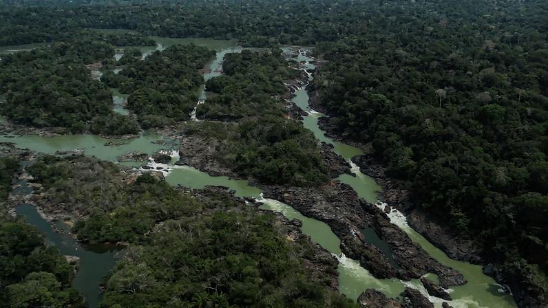 Limite da floresta Nacional do Jamanxim é alterado com medida provisória assinada pelo presidente Michel Temer — Foto: Divulgação / Governo do Pará