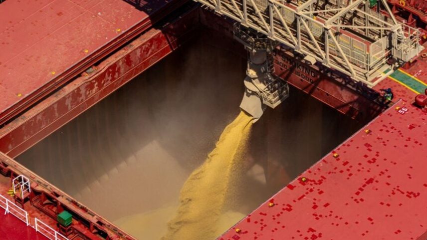 China aumenta importação de soja de janeiro a abril, comparado a 2025