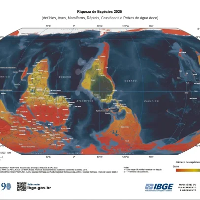 IBGE lança novo mapa-múndi invertido com Brasil no centro