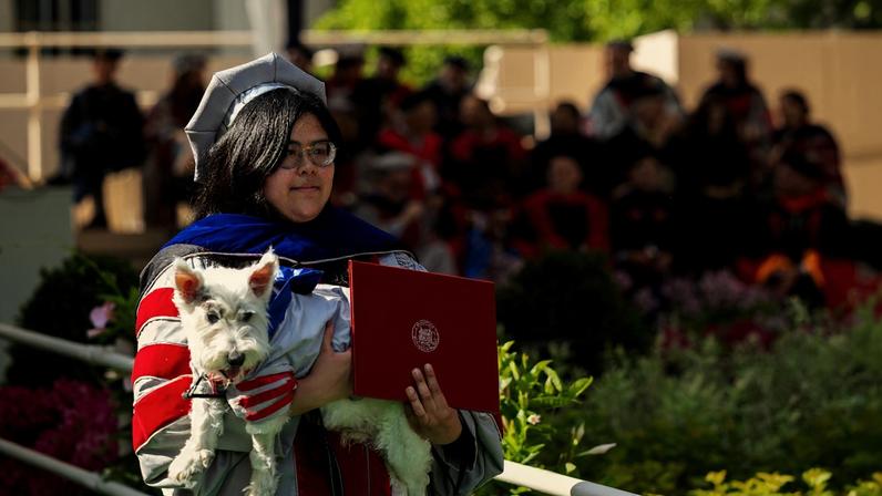 Michelle Quien holds her diploma and her dog Vinny, a white terrier. Both wear graduation regalia.