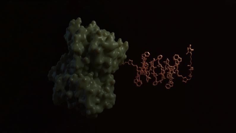 Liposomal nanoparticle reporters, or LisNRs, can brighten or dim MRI signals in response to specific molecular targets. Shown here is the water channel (magenta) that allows LisNRs to sense molecular targets, in combination with a blocking protein (green) that allows the sensors to turn on and off.