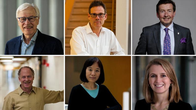 Six MIT faculty have been elected to the National Academy of Sciences for 2026. Top row, l-r: Bengt Holmström, Michale Fee, and Gareth H. McKinley. Bottom row, l-r: Keith Nelson, Fan Wang, and Catherine Wolfram.