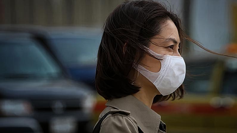 Japão enfrenta alergias em massa atribuídas a projeto dos anos 1950